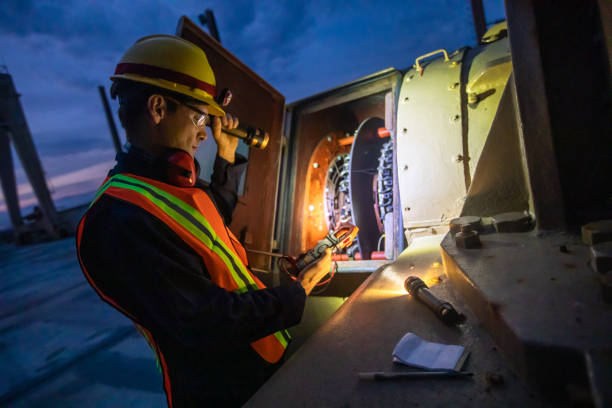 Best Electrical System Inspection  in Roanoke, IL