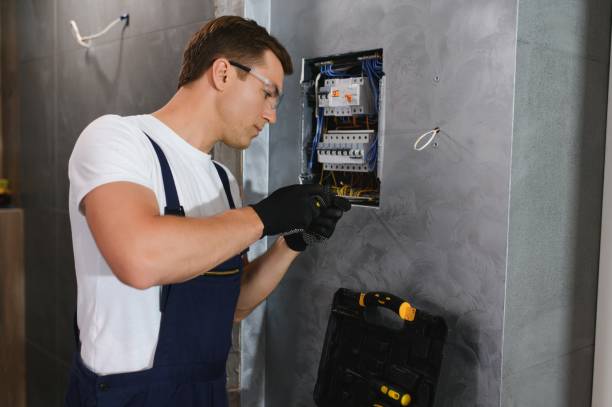 Best 24-Hour Electrician  in Roanoke, IL